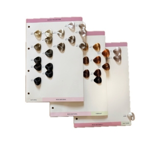 MN - MERCH Color Chart Inlay Gloss Shades